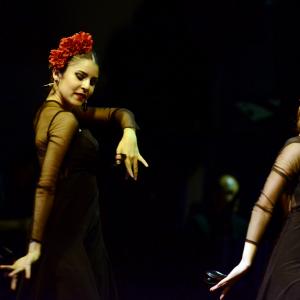 Fotografía de Muestra de Graduación en el Conservatorio de Danza - Conservatorio de Danza