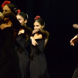 Fotografía de Muestra de Graduación en el Conservatorio de Danza - Conservatorio de Danza