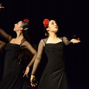 Fotografía de Muestra de Graduación en el Conservatorio de Danza - Conservatorio de Danza