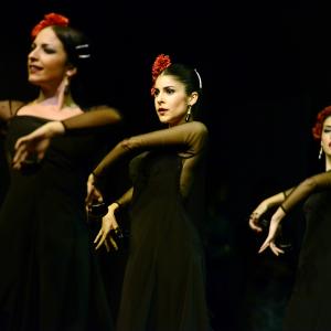 Fotografía de Muestra de Graduación en el Conservatorio de Danza - Conservatorio de Danza