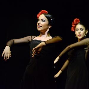 Fotografía de Muestra de Graduación en el Conservatorio de Danza - Conservatorio de Danza