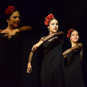 Fotografía de Muestra de Graduación en el Conservatorio de Danza - Conservatorio de Danza