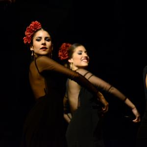 Fotografía de Muestra de Graduación en el Conservatorio de Danza - Conservatorio de Danza