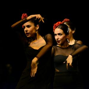 Fotografía de Muestra de Graduación en el Conservatorio de Danza - Conservatorio de Danza