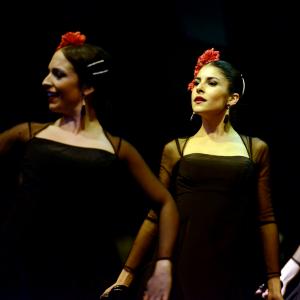 Fotografía de Muestra de Graduación en el Conservatorio de Danza - Conservatorio de Danza