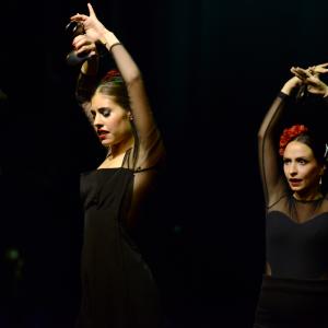 Fotografía de Muestra de Graduación en el Conservatorio de Danza - Conservatorio de Danza