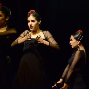 Fotografía de Muestra de Graduación en el Conservatorio de Danza - Conservatorio de Danza