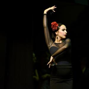 Fotografía de Muestra de Graduación en el Conservatorio de Danza - Conservatorio de Danza