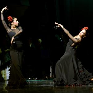 Fotografía de Muestra de Graduación en el Conservatorio de Danza - Conservatorio de Danza