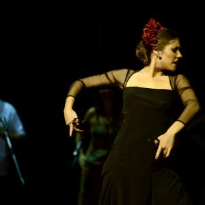 Fotografía de Muestra de Graduación en el Conservatorio de Danza - Conservatorio de Danza