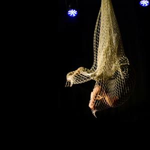 Fotografía de Cabaret Estreyarte - Estreyarte