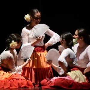 Fotografía de Tallleres de Danza Española - Conservatorio de Danza