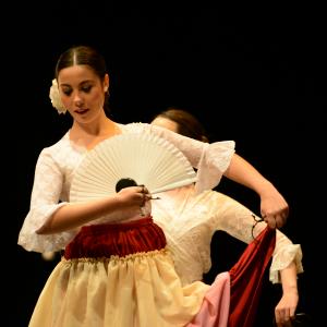 Fotografía de Tallleres de Danza Española - Conservatorio de Danza