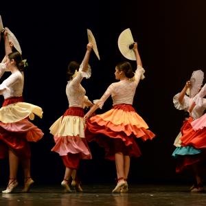 Fotografía de Tallleres de Danza Española - Conservatorio de Danza