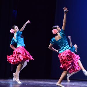 Fotografía de Tallleres de Danza Española - Conservatorio de Danza