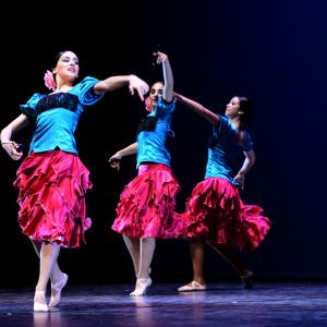 Fotografía de Tallleres de Danza Española - Conservatorio de Danza