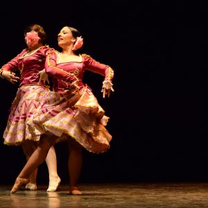 Fotografía de Tallleres de Danza Española - Conservatorio de Danza