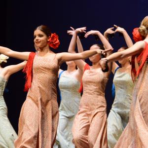 Fotografía de Tallleres de Danza Española - Conservatorio de Danza