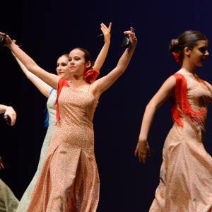 Fotografía de Tallleres de Danza Española - Conservatorio de Danza