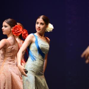 Fotografía de Tallleres de Danza Española - Conservatorio de Danza