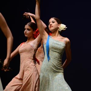Fotografía de Tallleres de Danza Española - Conservatorio de Danza