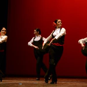 Fotografía de Tallleres de Danza Española - Conservatorio de Danza
