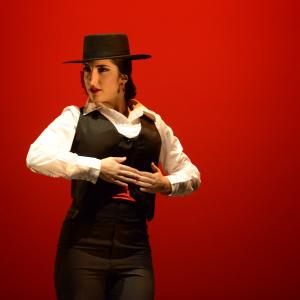 Fotografía de Tallleres de Danza Española - Conservatorio de Danza