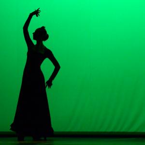 Fotografía de Tallleres de Danza Española - Conservatorio de Danza