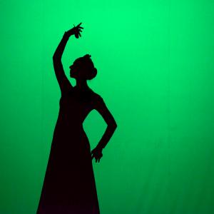 Fotografía de Tallleres de Danza Española - Conservatorio de Danza