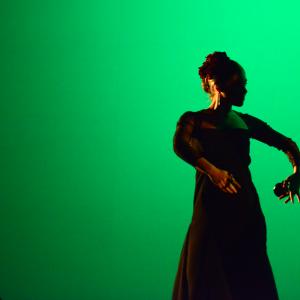 Fotografía de Tallleres de Danza Española - Conservatorio de Danza