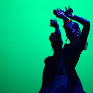 Fotografía de Tallleres de Danza Española - Conservatorio de Danza