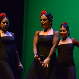 Fotografía de Tallleres de Danza Española - Conservatorio de Danza