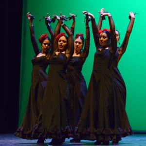 Fotografía de Tallleres de Danza Española - Conservatorio de Danza