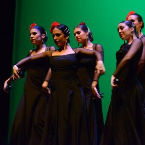 Fotografía de Tallleres de Danza Española - Conservatorio de Danza