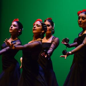 Fotografía de Tallleres de Danza Española - Conservatorio de Danza