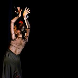 Fotografía de Tallleres de Danza Española - Conservatorio de Danza