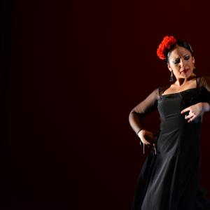 Fotografía de Tallleres de Danza Española - Conservatorio de Danza