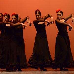 Fotografía de Tallleres de Danza Española - Conservatorio de Danza