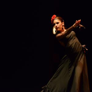 Fotografía de Tallleres de Danza Española - Conservatorio de Danza