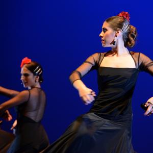 Fotografía de Tallleres de Danza Española - Conservatorio de Danza