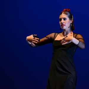 Fotografía de Tallleres de Danza Española - Conservatorio de Danza
