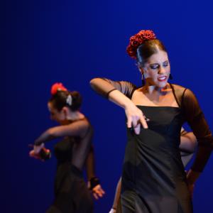 Fotografía de Tallleres de Danza Española - Conservatorio de Danza