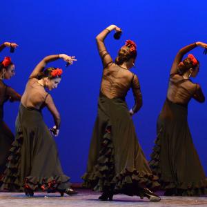 Fotografía de Tallleres de Danza Española - Conservatorio de Danza