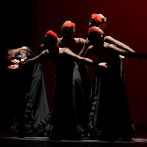 Fotografía de Tallleres de Danza Española - Conservatorio de Danza