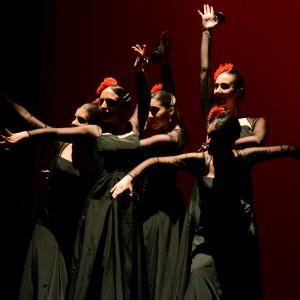 Fotografía de Tallleres de Danza Española - Conservatorio de Danza