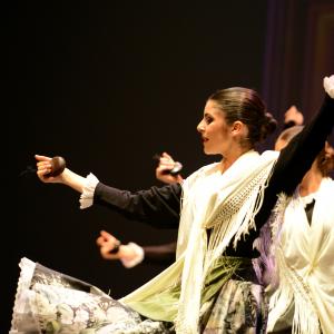 Fotografía de Tallleres de Danza Española - Conservatorio de Danza