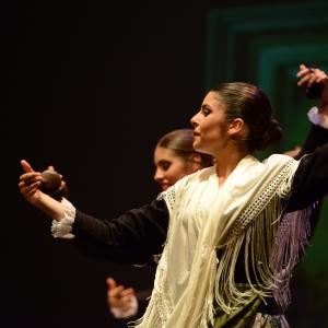 Fotografía de Tallleres de Danza Española - Conservatorio de Danza