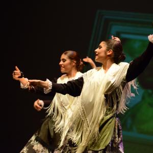 Fotografía de Tallleres de Danza Española - Conservatorio de Danza