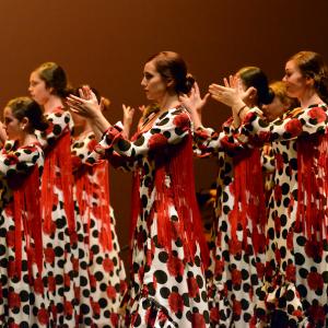 Fotografía de Talleres de Baile flamenco (ensayo general) - Conservatorio de Danza