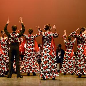Fotografía de Talleres de Baile flamenco (ensayo general) - Conservatorio de Danza